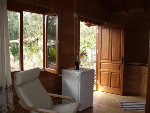 Sakin Vadi Winehouse - Photo 1