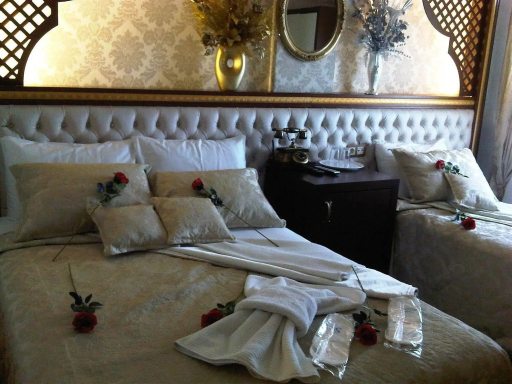 Salinas Istanbul Hotel - Photo 4