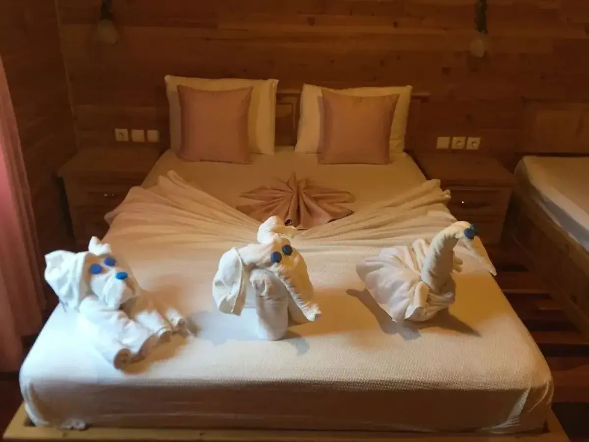 Sedir Palas Hotel