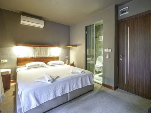 The Green Goose Hotel - Photo 2