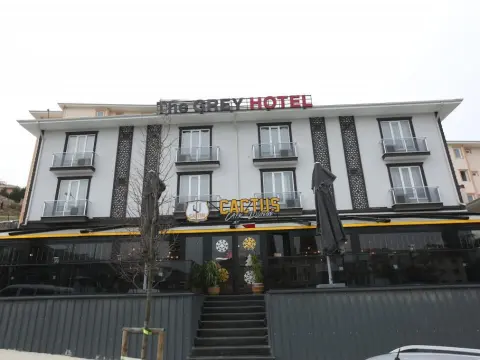 The Grey Hotel - Photo 1