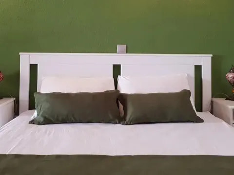 Villa Kizlan Ova - Photo 3