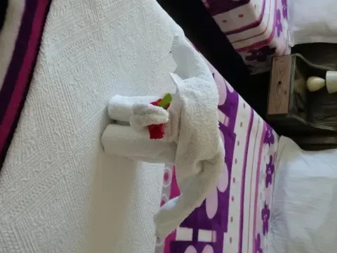 Wallabies Aquaduct Hotel - Foto 2