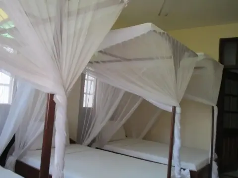 Abuso Inn - Photo 4