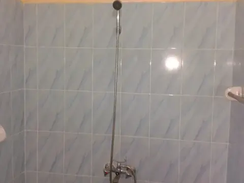 Paipai zanzibar - Photo 4