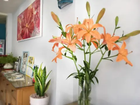 Cozy House 160 - Photo 1