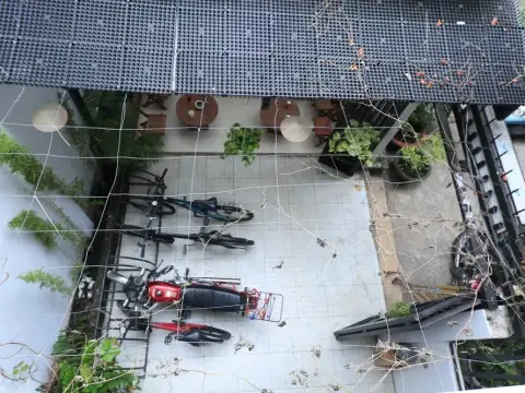 Cucu Hostel - Photo 3