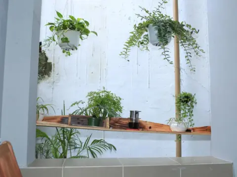 CuCu Hostel - Foto 1