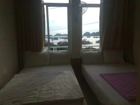 Green Bamboo Forest Cat Ba - Photo 2