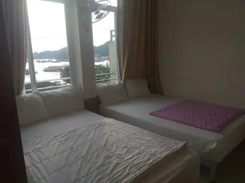 Green Bamboo Forest Cat Ba - Photo 3