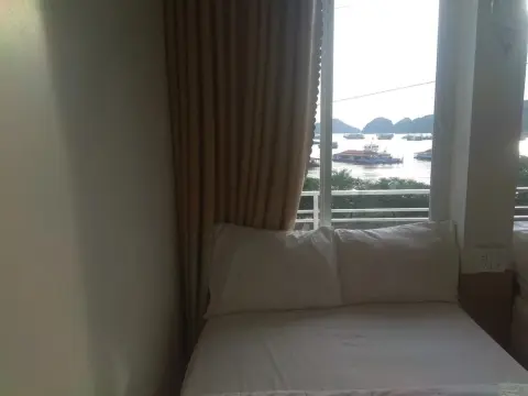 Green Bamboo Forest Cat Ba - Photo 4