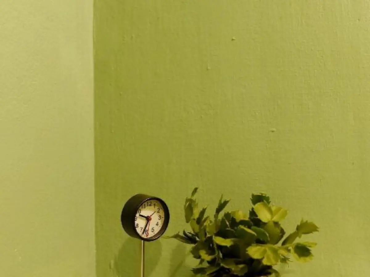 Little House - Hostel