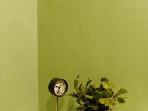 Little House - Hostel - Foto 1