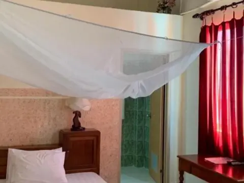 Mekong-Logis Guesthouse - Foto 1