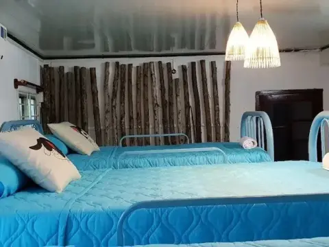 Peace Home - Hostel - Photo 2