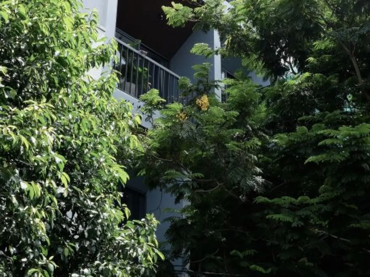 Seaforest Hotel by Haviland