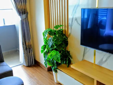 Song Suoi FLC seaview apartment - Photo 4