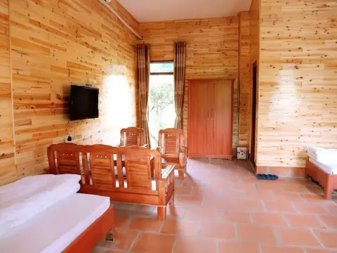 Sunny Garden - Photo 3