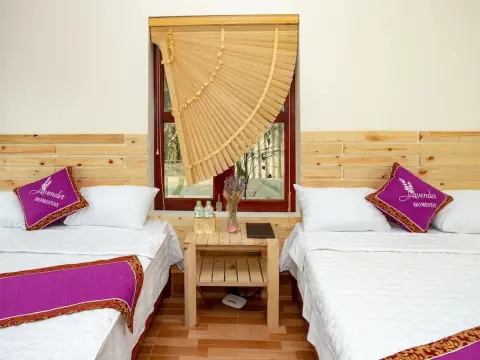 Tam Coc Lavender Homestay - Photo 3