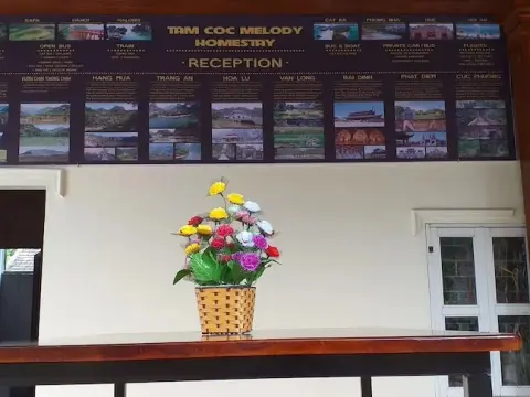 Tam Coc Melody Homestay - Photo 1