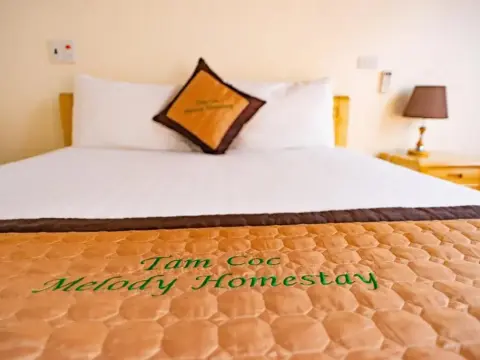 Tam Coc Melody Homestay - Photo 3