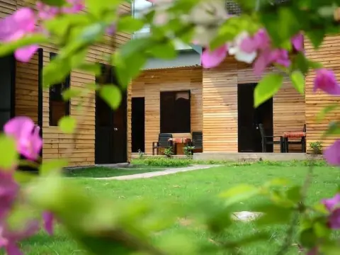 The Art - Golden Jungle House - Photo 1