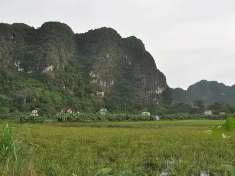 Trang An Valley Bungalow - Photo 1