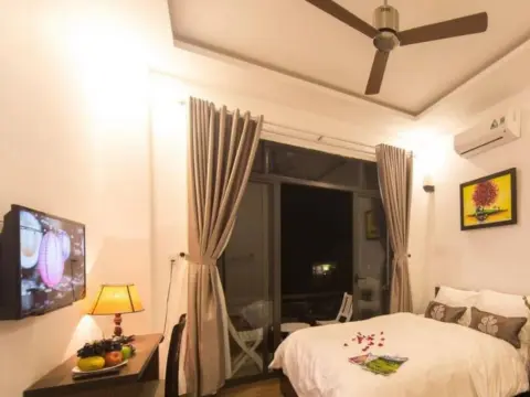 Volar Hoi An - Photo 3