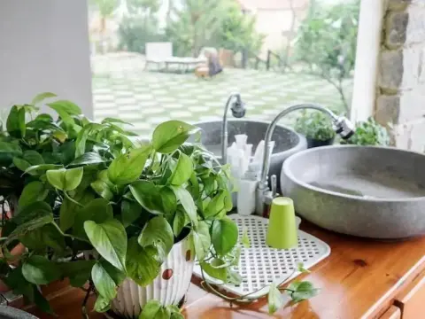 Zen Homestay Dalat - Photo 4